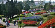Tour 1: Vườn Hoa Thành Phố Đà Lạt - Dinh Bảo Đại - Biệt Thực Hằng Nga- Làng Hoa Vạn Thành