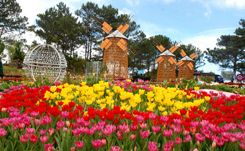 vuon hoa thanh pho da lat
