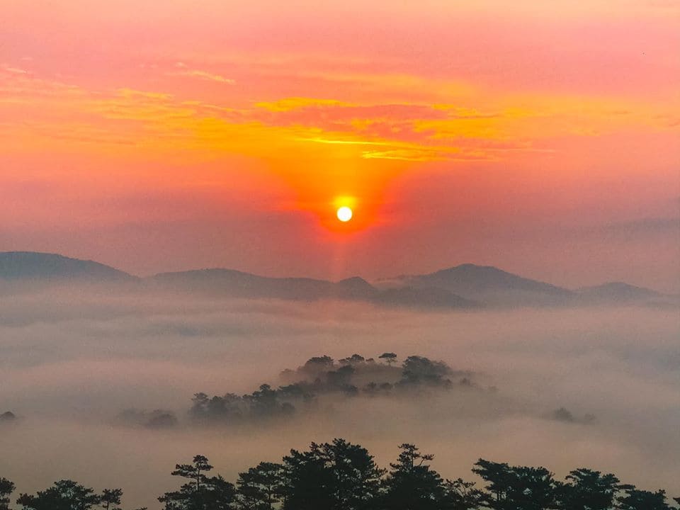 Đồi Đa Phú Đà Lạt